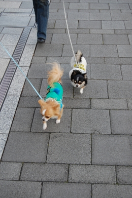 080126_7.jpg