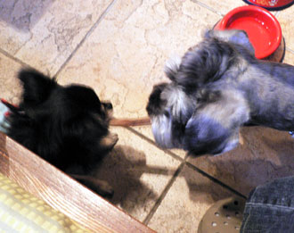 p1030883-0724-2.jpg
