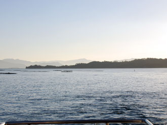 dsc_0010-1123.jpg