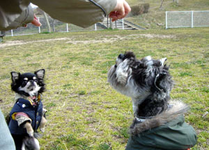 dsc02357-0227.jpg