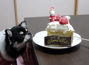 p1020142-1225.gif