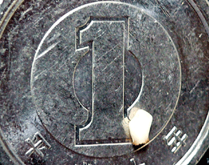 p1010800-1029.gif