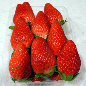 P1010117-0114.gif