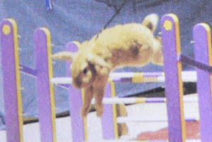 p1010531-0716.gif