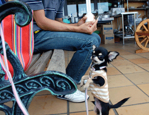 dsc_0022-924.gif