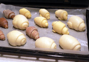 p1030350-0615.jpg