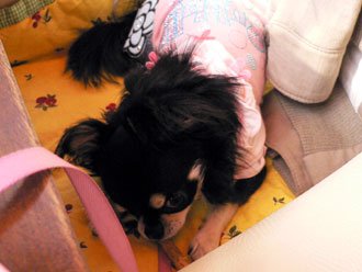 p1050091-1117.jpg