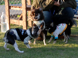 dsc_0329-1021.jpg