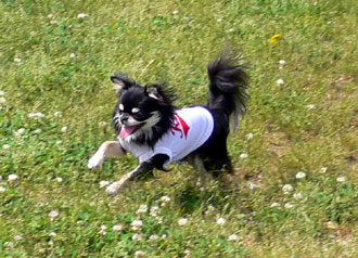 p1030174-0526.jpg