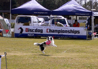 p1020689-0210.jpg