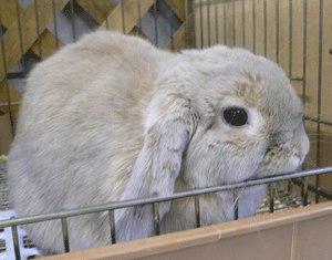 P1010170-0123.gif