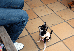 dsc_0016-924.gif