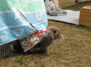 DSC_4471-0409.gif