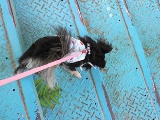 p1030873-0724-.jpg
