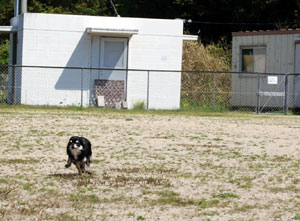 dsc_0016-0429.jpg