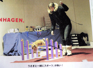 p1010531-716.gif