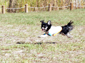dsc_0119-1022.jpg