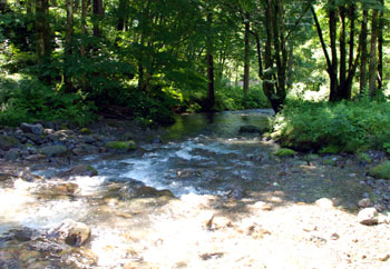 dsc_0303-0724.jpg