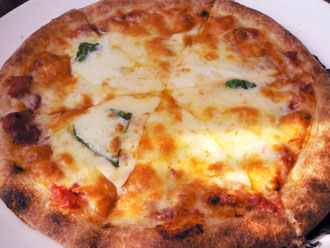 p1050095-1117.jpg