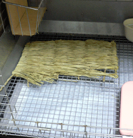 p1020116-1128.gif