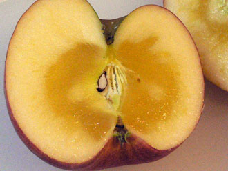 p1050200-1202.jpg