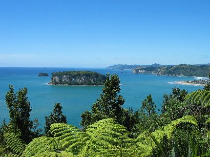brenton-lodge-whangamata