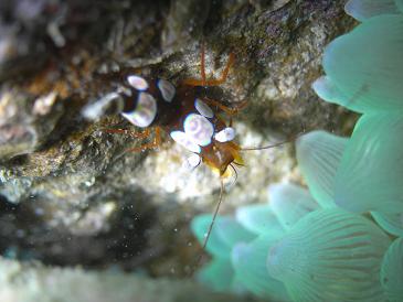 m0010837.jpg