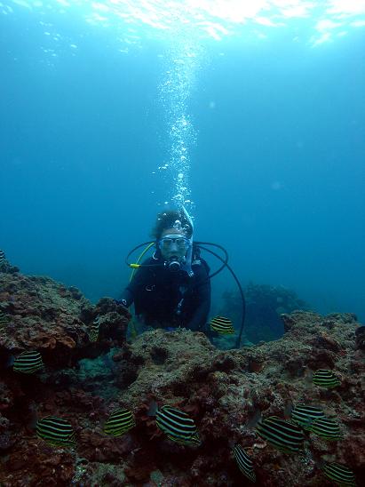 m0018906.jpg
