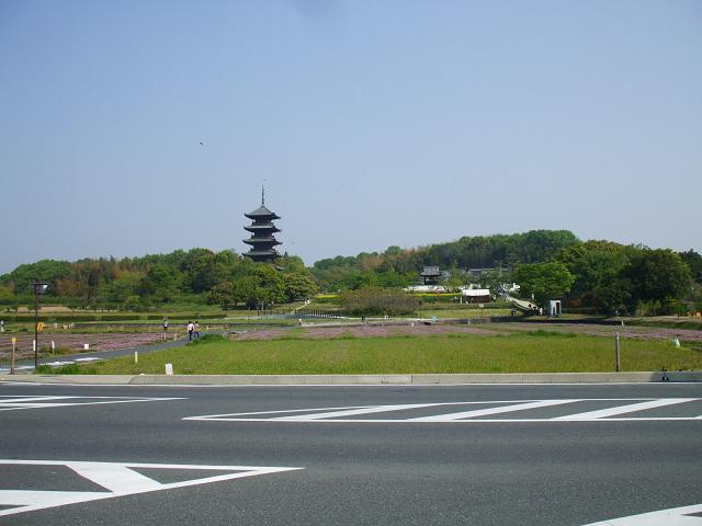 dscf0916.jpg