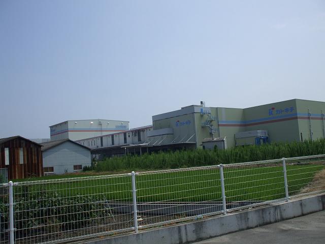 dscf0029.jpg