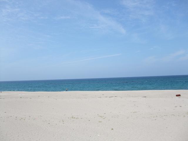 dscf1181.jpg