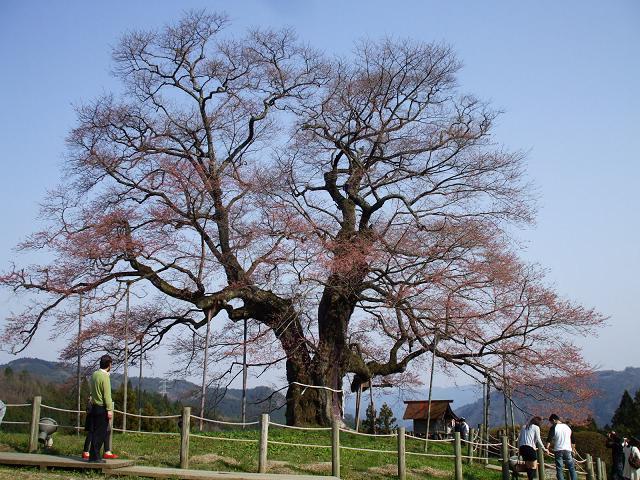 dscf0874.jpg