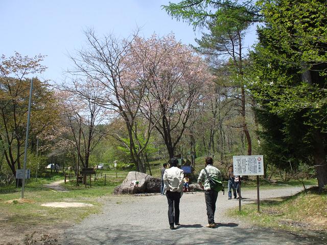 dscf0946.jpg