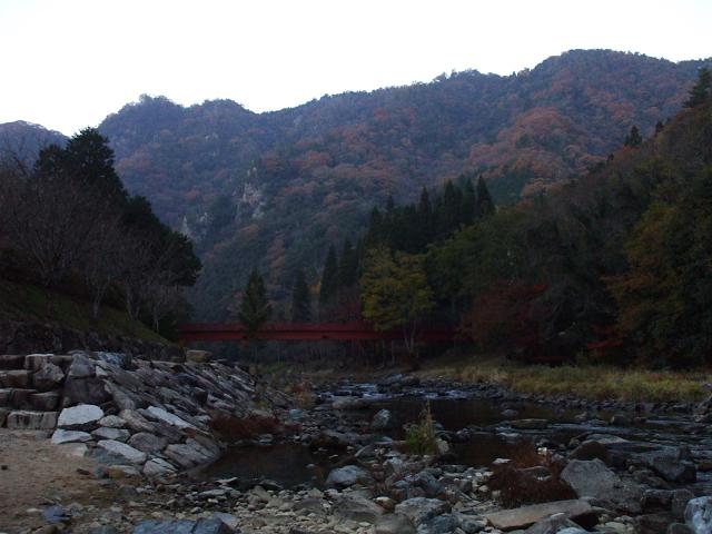 dscf0653.jpg