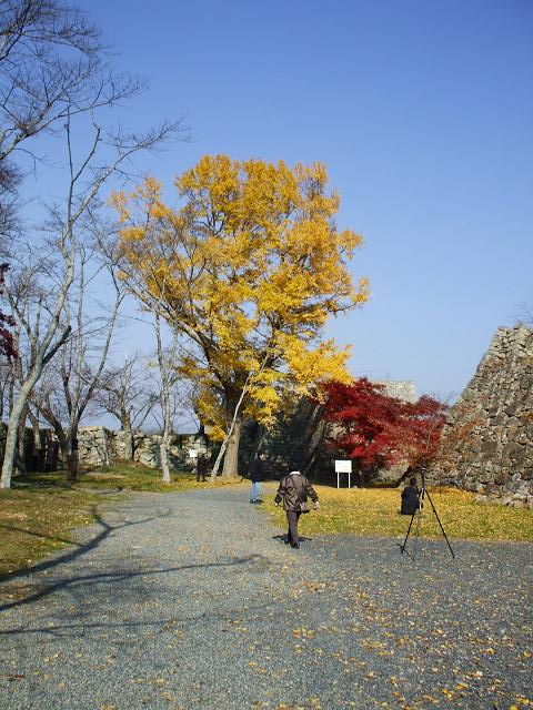 dscf0636.jpg