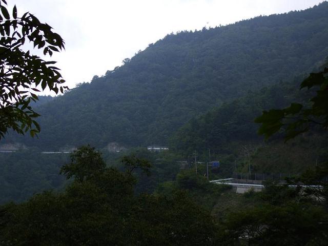 img20070905_3.jpg