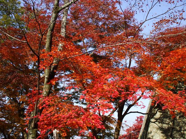 dscf0634.jpg