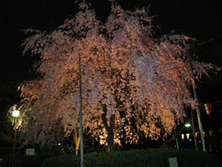 img_0299.jpg