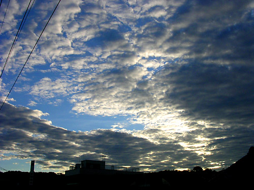 morningsora4_050908.jpg