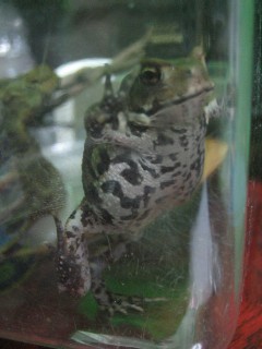 IMG_6688.jpg