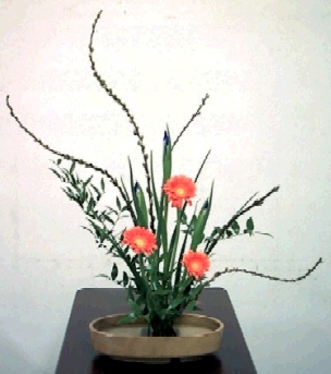 cap0100.jpg