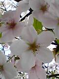 img20050531.jpg