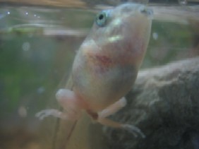 IMG_6784.jpg