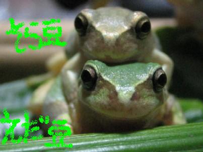 img20051213.jpg