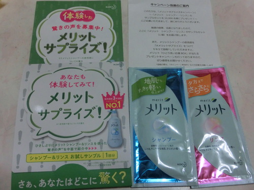 CIMG4109