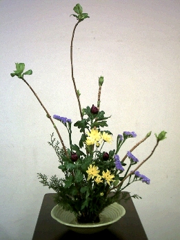 cap0101.jpg