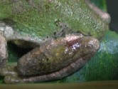IMG_0448.jpg