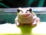 img20050212_2.jpg