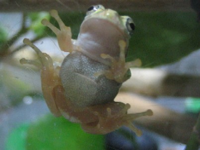 IMG_7922.jpg