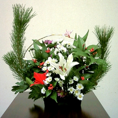 cap0052.jpg